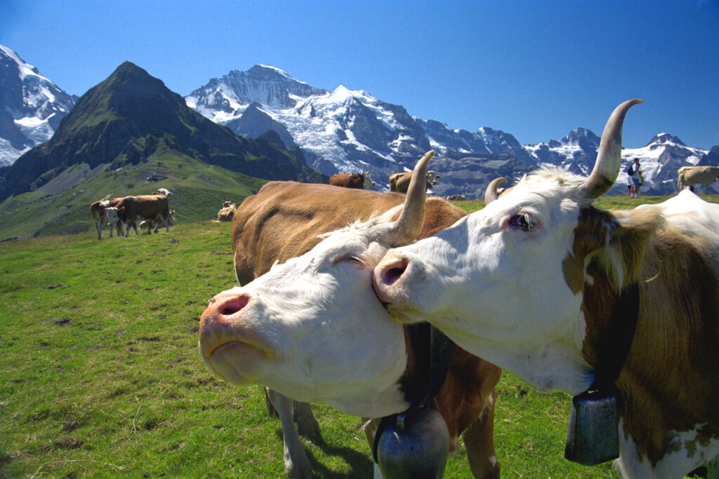 The best of Alpine Europe, according to Rick Steves