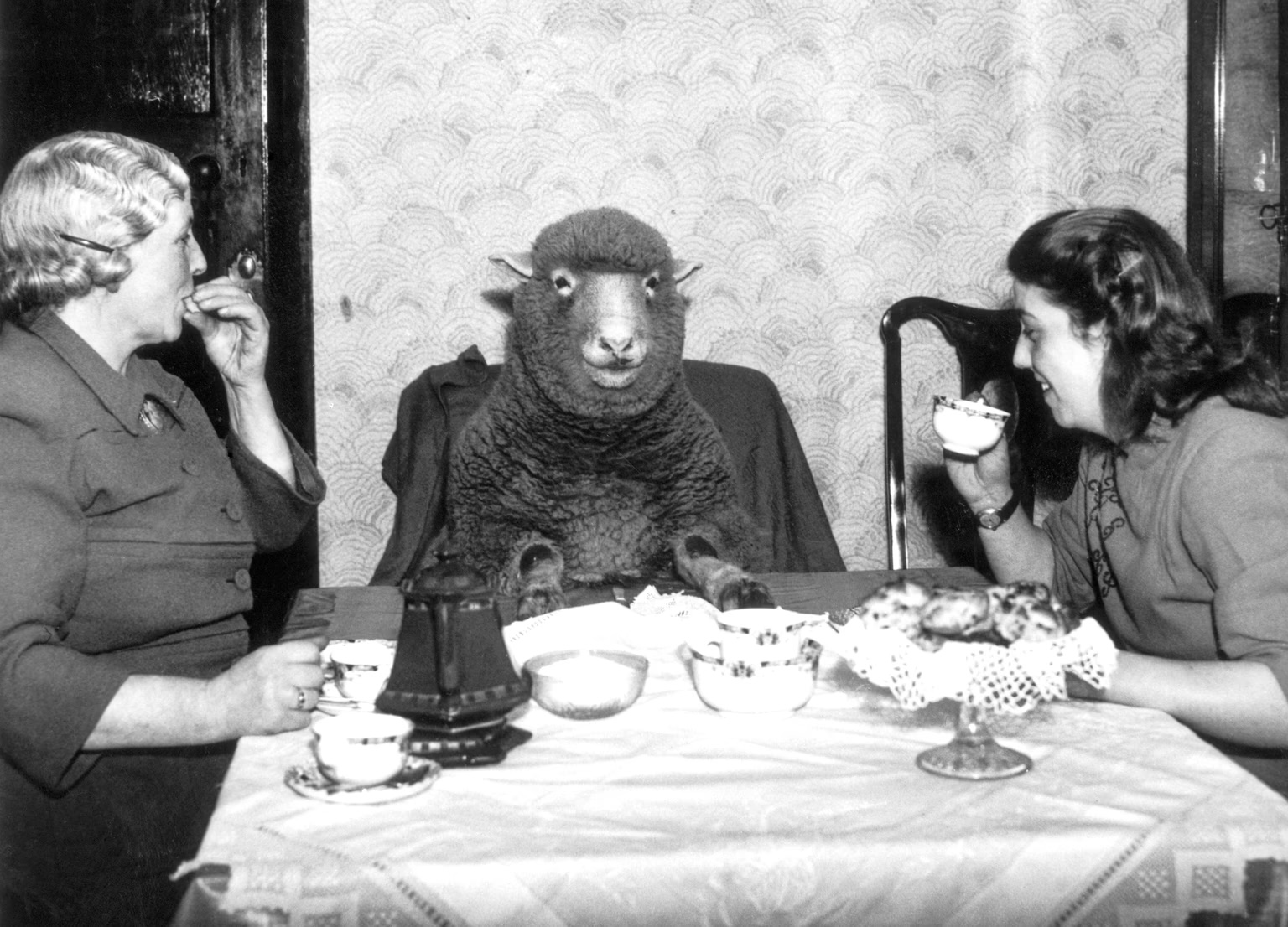 March 1, 1949: “Farmer Mrs. Maud Lee and her daughter Pat enjoy elevenses at their farmhouse in Keynsham, near Bristol, with their pet lamb Betty.”
