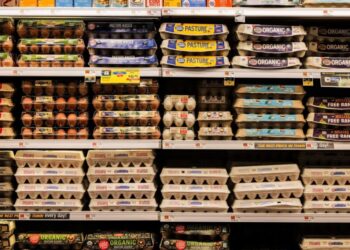 GOP in trouble as ‘grocery price shock’ set to surge already-inflated food costs: report