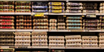 GOP in trouble as ‘grocery price shock’ set to surge already-inflated food costs: report