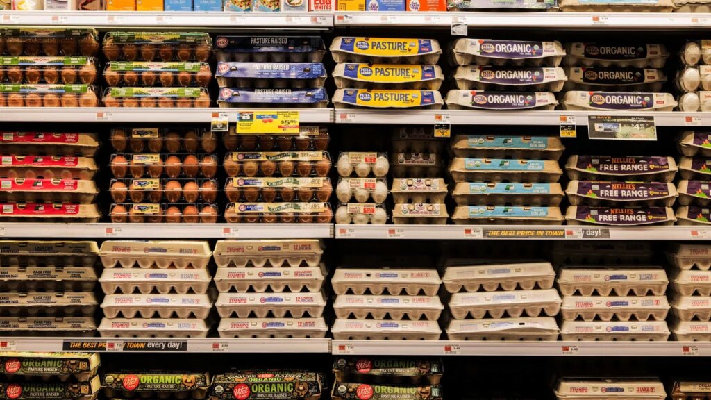 GOP in trouble as ‘grocery price shock’ set to surge already-inflated food costs: report