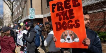 New Yorkers taking stand against cruel animal testing with march across Empire State