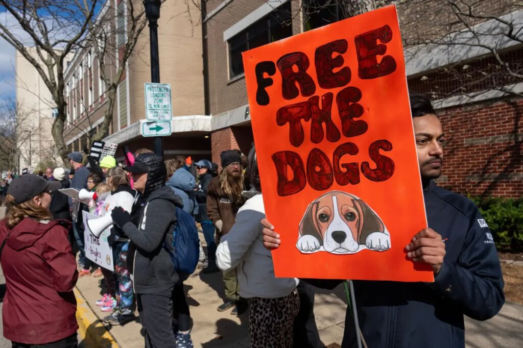 New Yorkers taking stand against cruel animal testing with march across Empire State