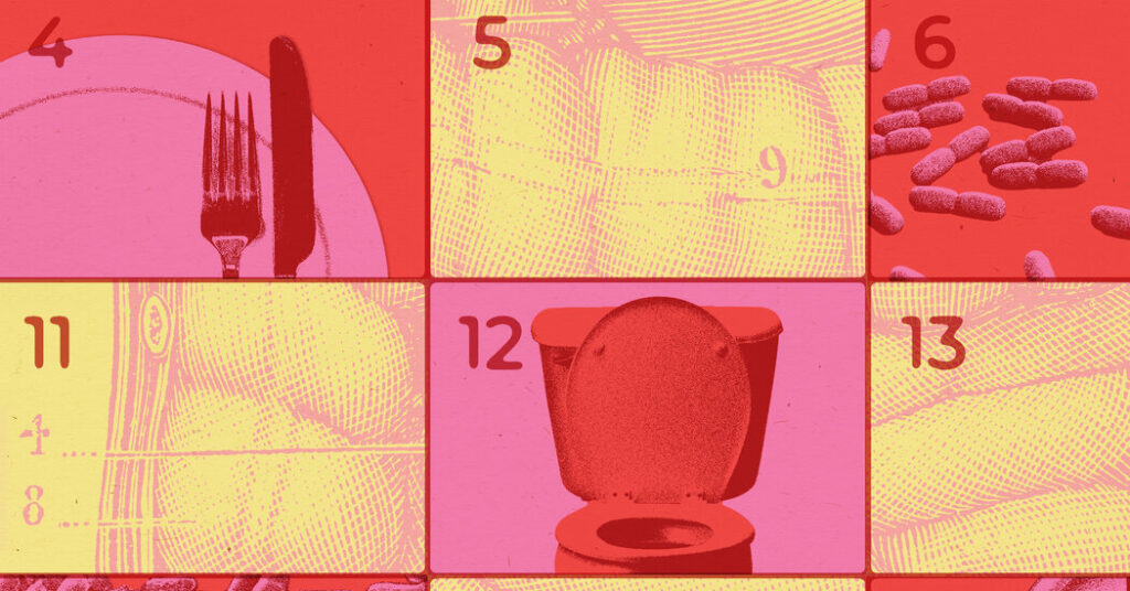 Food-Borne Illnesses Can Lead to Long Term Gut Issues