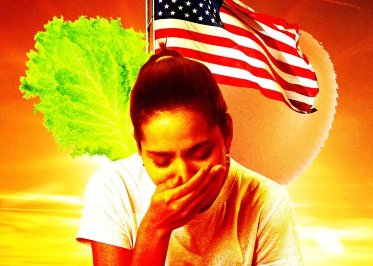 Why Food Keeps Making Everybody Sick This Summer