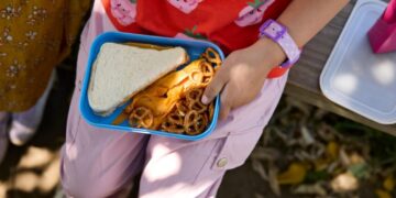 How to Stop Wasting So Much Food in Your Kid’s Lunchbox