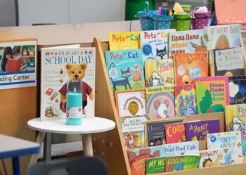 Reading only excerpts does students a disservice