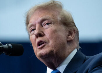 Audit Revenue Has Plummeted Under Trump, Watchdog Finds