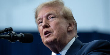 Audit Revenue Has Plummeted Under Trump, Watchdog Finds