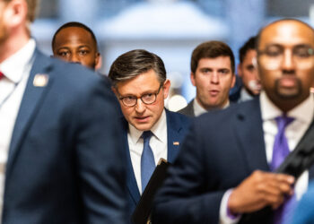 Mike Johnson said he supports ‘great member’ Max Miller’s reelection bid
