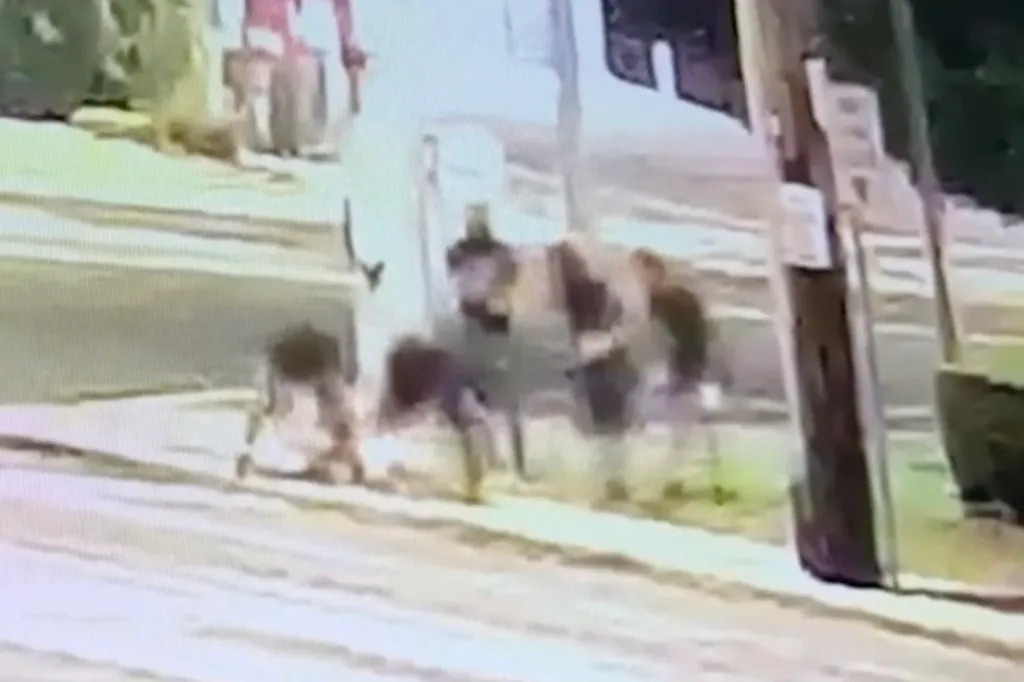 A group of men is spotted opening a Long Island manhole cover and entering a sewer in Wantagh on Aug. 27, 2026.