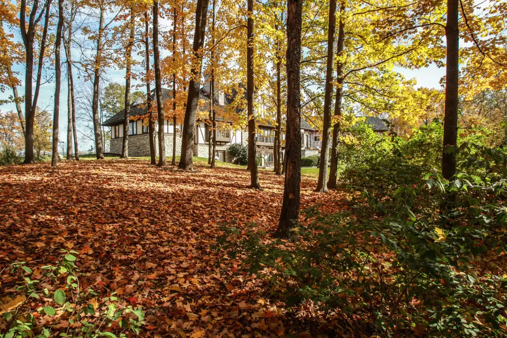 Fox Hollow Farm main house, a 1977 Tudor-style mansion, seen through trees with autumn foliage.