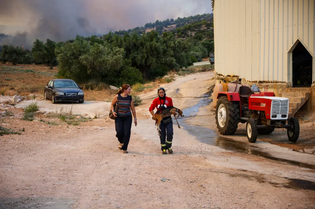 A woman in a red shirt carries an injured dog while walking with another woman on a dirt road, with smoke in the background from a wildfire.
