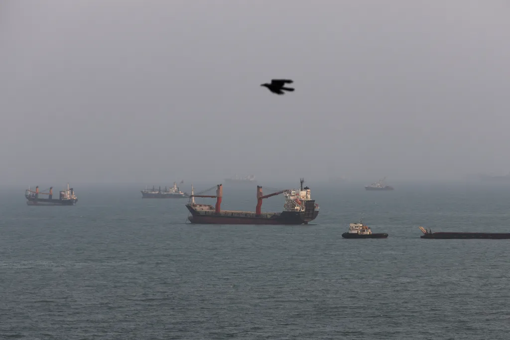 A bird flies over ships anchored in the Strait of Hormuz.