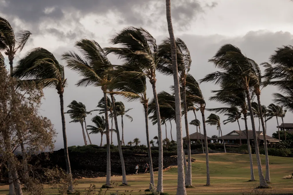 Palm trees sway in the wind under a cloudy sky at Waikoloa Beach Resort in Hawaii, as people walk along a path.