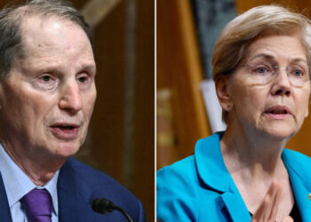 Several Big Brokerages Leave Customer Accounts Open to Theft, Senators Say