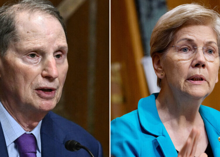Several Big Brokerages Leave Customer Accounts Open to Theft, Senators Say