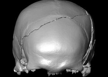 A 14th-Century Skeleton Had Injuries That Looked Like a Car Crash. What Killed Him?