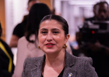 N.Y. State Senator’s Former Aides Say She Double-Billed for Travel