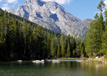 Come On In, the Water’s Fine (at These 6 Wild Swimming Spots)