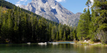 Come On In, the Water’s Fine (at These 6 Wild Swimming Spots)
