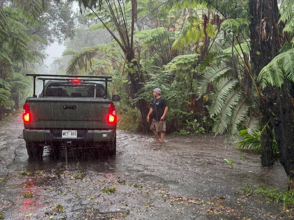 Man standing in floodwater next to a pickup truck, surrounded by dense jungle.