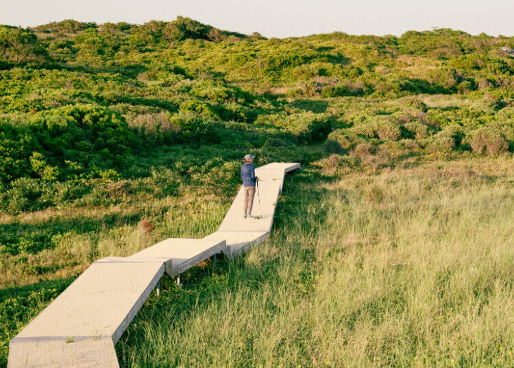 Jackie O’s Private Beach Is Open to All. But It’s a Hike.
