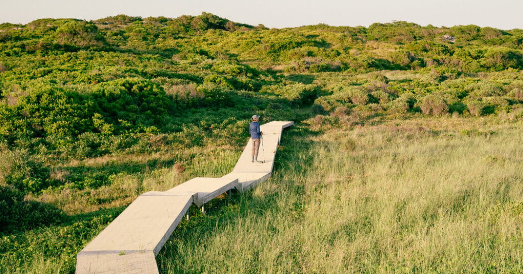 Jackie O’s Private Beach Is Open to All. But It’s a Hike.