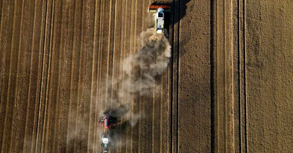 The Price of Bread