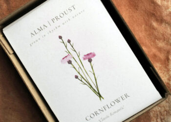 The Revolution Will Be Planted With Wildflowers