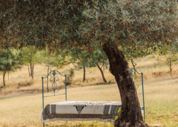 Silence, Wolves and the Wild East: Hiking in Portugal’s Côa Valley