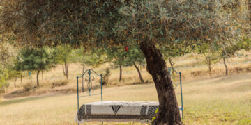 Silence, Wolves and the Wild East: Hiking in Portugal’s Côa Valley