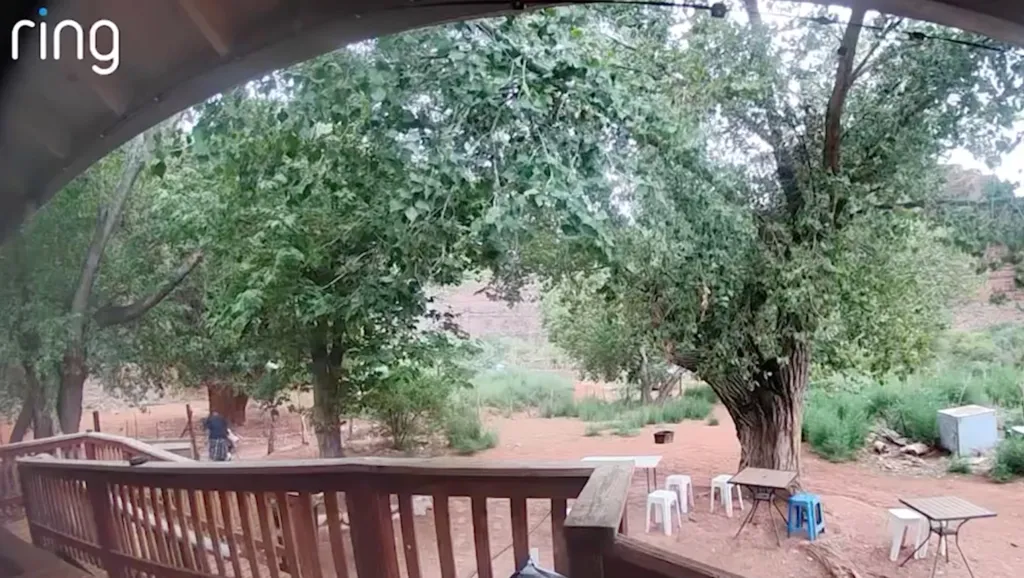 Ring doorbell camera footage of Alexis Rowan being attacked.
