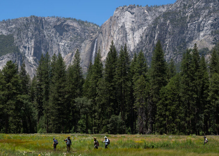 Trump Administration Looks to Give a Swath of Yosemite to Developer