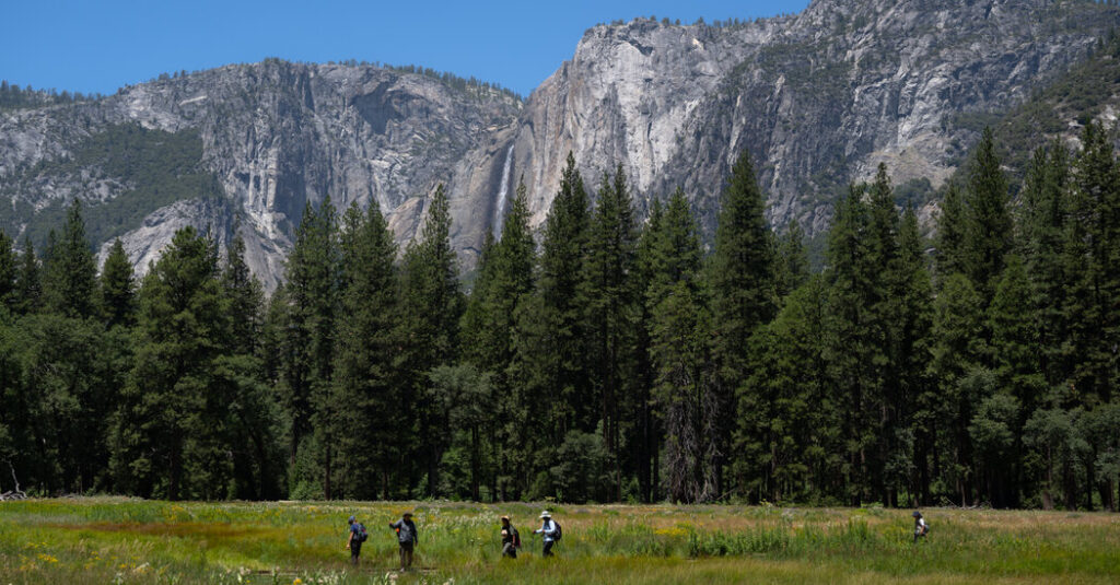 Trump Administration Looks to Give a Swath of Yosemite to Developer
