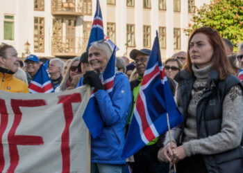 Icelanders Are Voting on E.U. Membership Talks. Here’s What to Know.