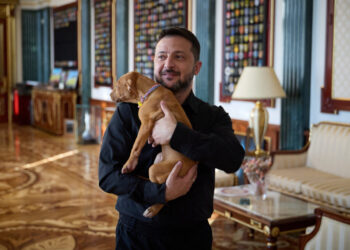 Why Zelensky is cuddling a very good girl named Freya