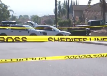 Execution-Style Murder in California Tied to Business Dispute, D.A. Says