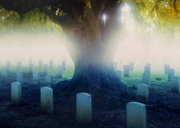 I Spent My Summer in the Cemetery. There, I Found Strange Solace.