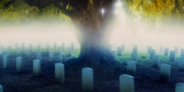I Spent My Summer in the Cemetery. There, I Found Strange Solace.