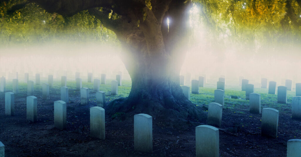 I Spent My Summer in the Cemetery. There, I Found Strange Solace.