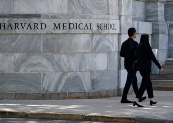 Harvard agrees to pay $53M settlement after body parts stolen from morgue