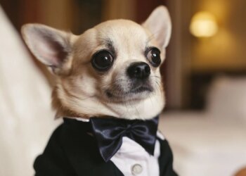 4 Ways to Survive a Wedding When You’re the Single Friend, According to a Therapist