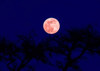 4 Zodiac Signs Will Be Hit Hardest by August’s Blood Moon Eclipse