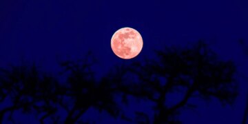 4 Zodiac Signs Will Be Hit Hardest by August’s Blood Moon Eclipse