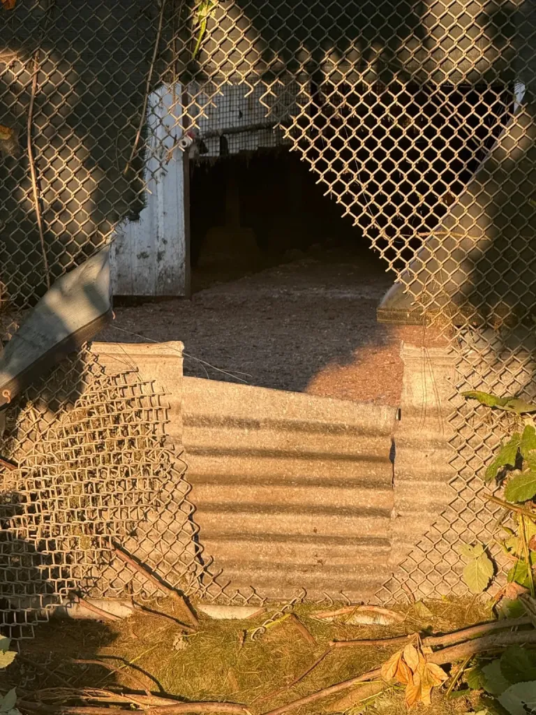 A cut chain-link fence at a mink farm.