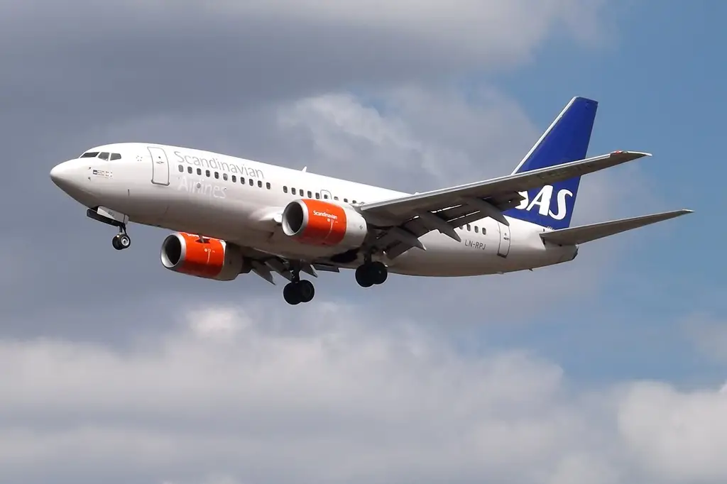 scandinavian airlines
