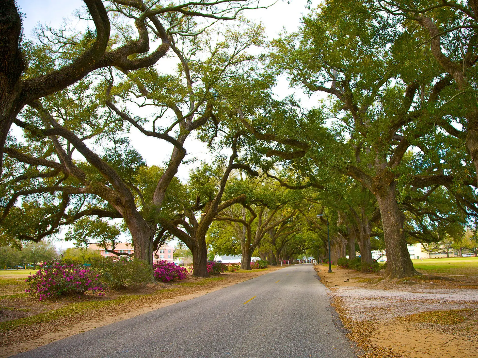 Spring Hill College alabama