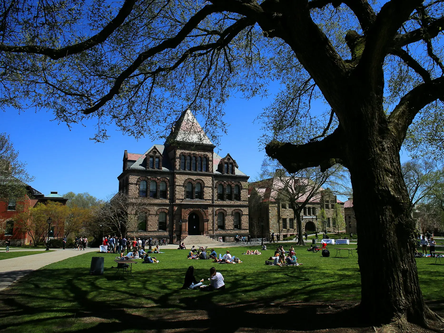 Brown University
