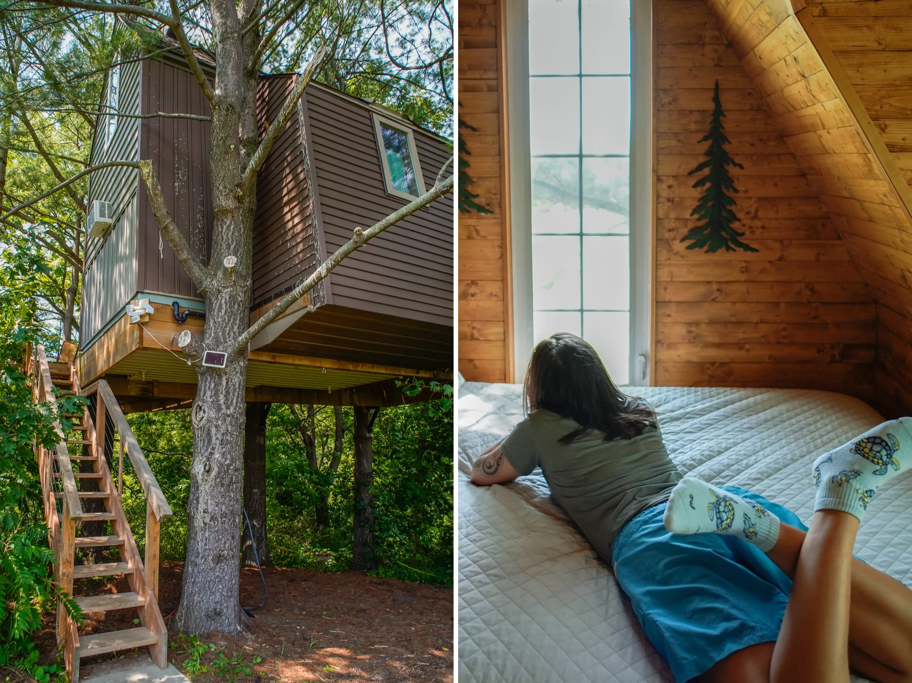 The author in a treehouse